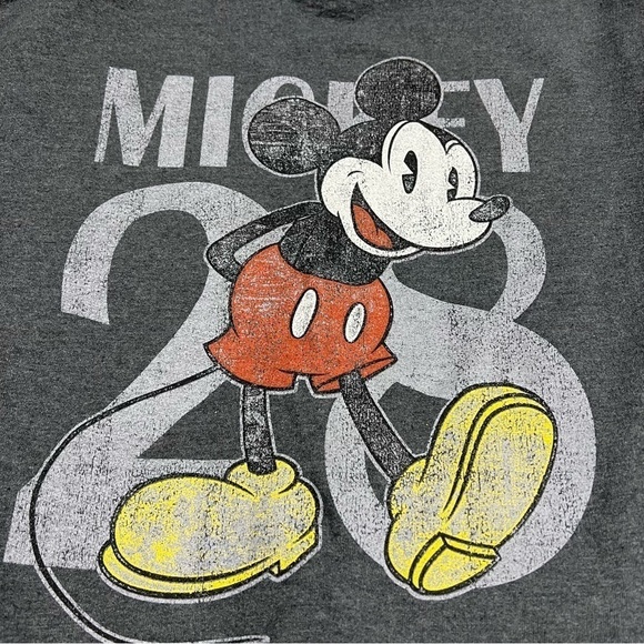 Disney Parks Mickey Mouse 28 Full Zip Hoodie Grey Men’s Size Small - Picture 5 of 8